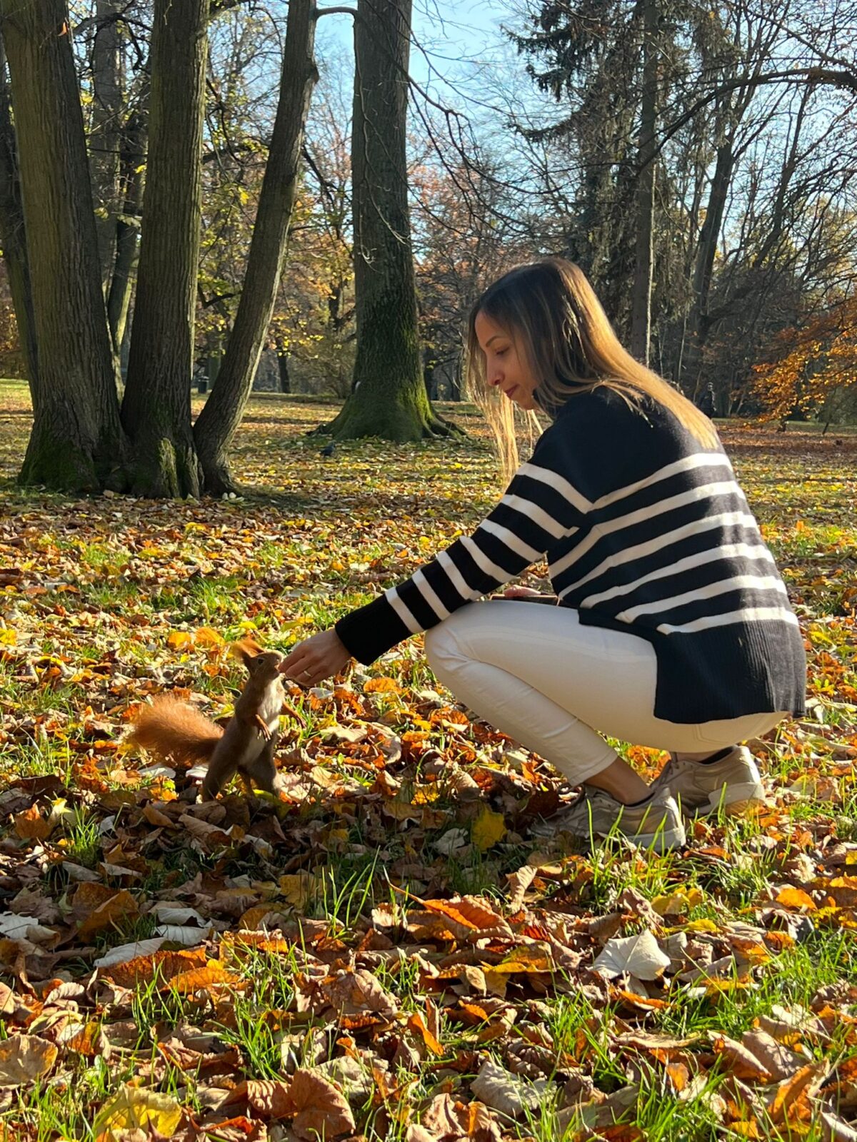 img 20231109 wa0022 img 20231109 wa0022